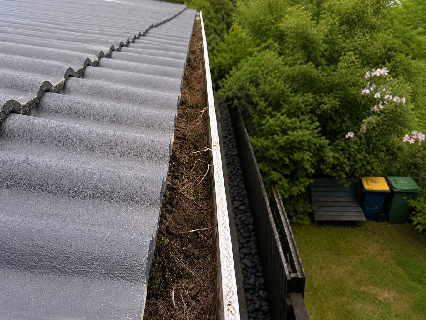 Gutter blocked with soil, moss and debris before cleaning